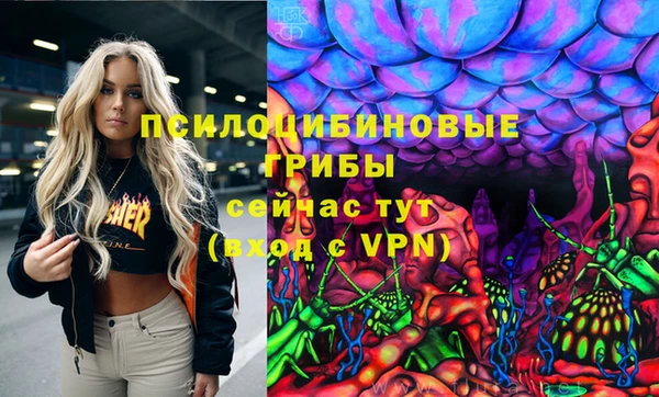 дживик Верхний Тагил