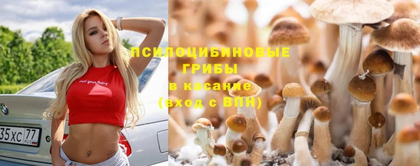 Альфа ПВП Медвежьегорск