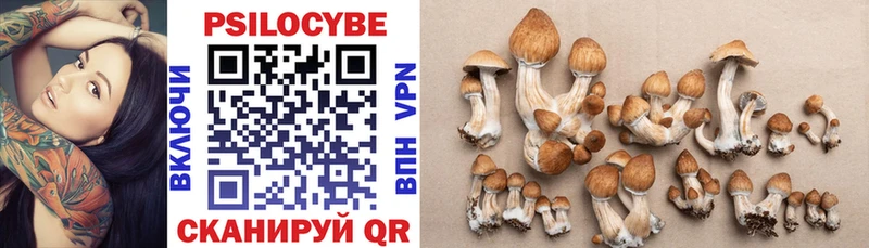 цена наркотик  Пыталово  Псилоцибиновые грибы Psilocybine cubensis 